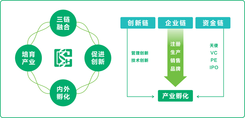 人生就是博-尊龙凯时式孵化